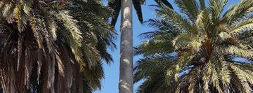 Clifton Dance Project