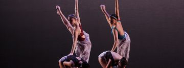 Delaware Dance Company