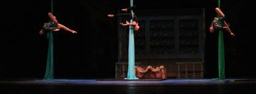 Dynamics Dance