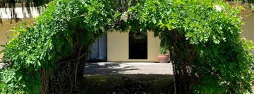 Elite School of Dance