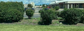 Freedom Of Movement Dance Company