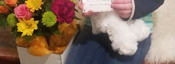 American Dance Academy