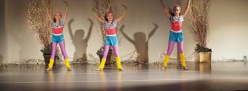 The Dance Conservatory
