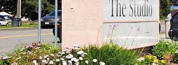 The Studio Art of Dance