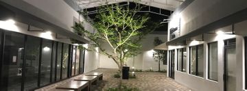 Daylight Studios