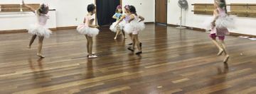 Northern Illinois Dance Center