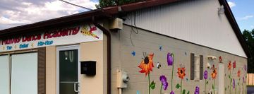 Dyan Mulvey Dance Academy