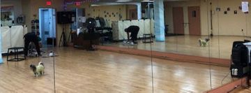 Maria Fiora's Dance Studio