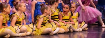 The Academy of Dance