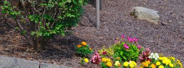 Janet Hays and Company Dance Studio