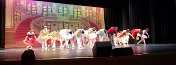 The School of Rockford Dance Company