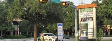 Sonia's World of Dance