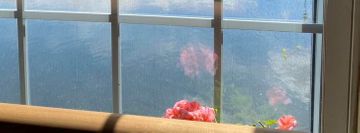 Edgewater Academy of Dance