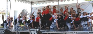 A Step Above Dance Studio