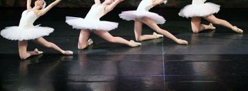 Alabama Youth Ballet Theatre and School